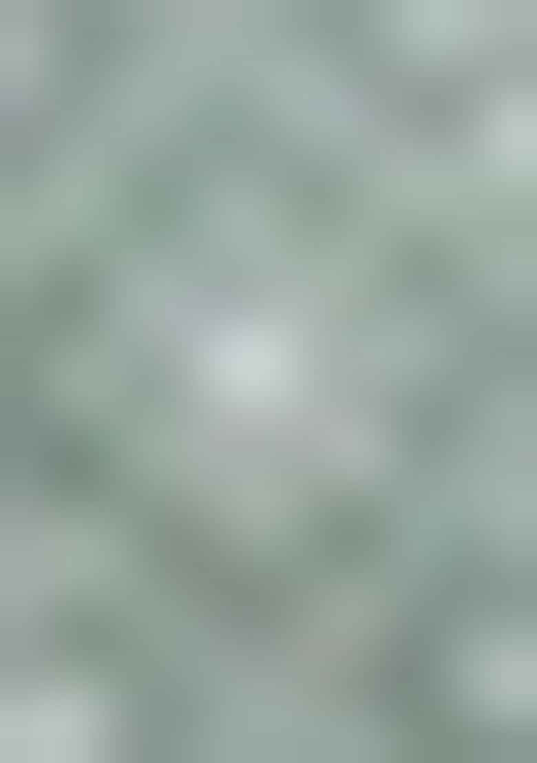 Green Printed Cotton Palazzo Set With Dupatta