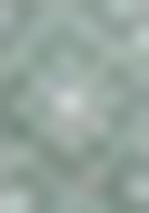 Green Printed Cotton Palazzo Set With Dupatta