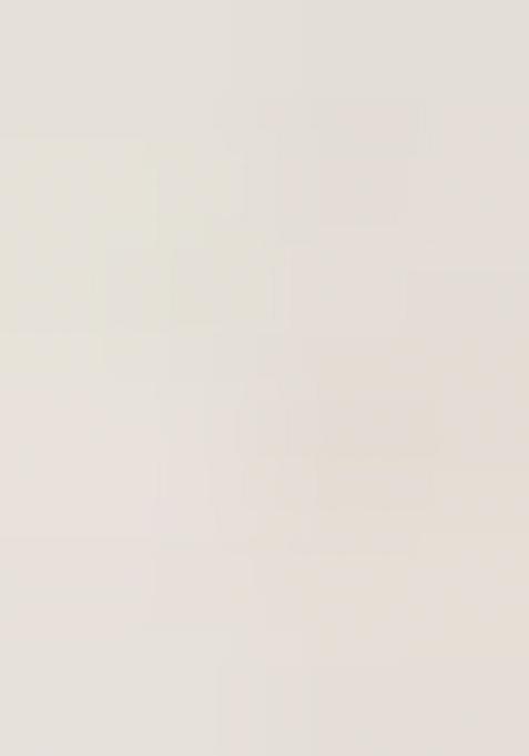 White Embroidererd Georgette Anarkali Set With Dupatta