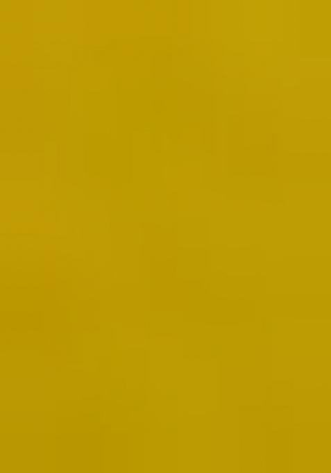 Lemon Yellow Embroidererd Rayon Salwar Kameez With Dupatta