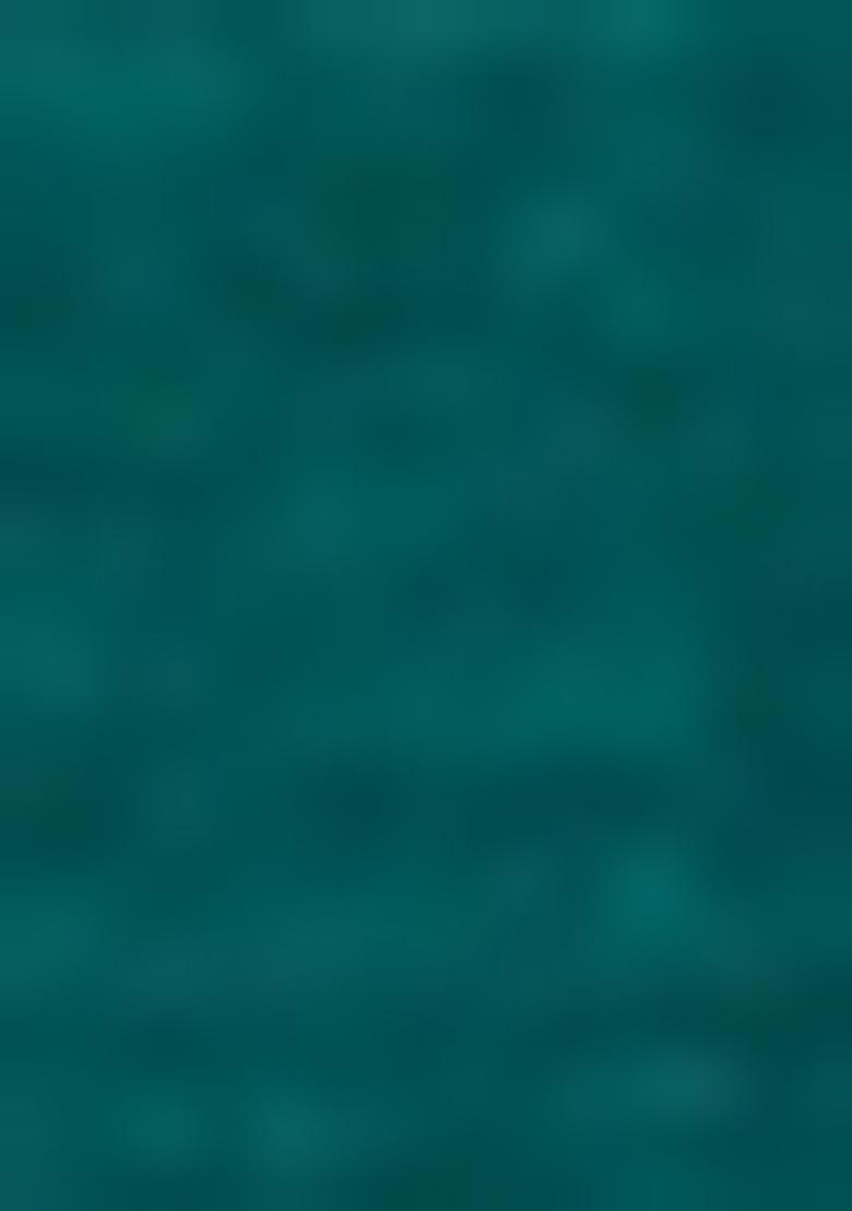 Green Embroidered Viscose Salwar Kameez With Dupatta