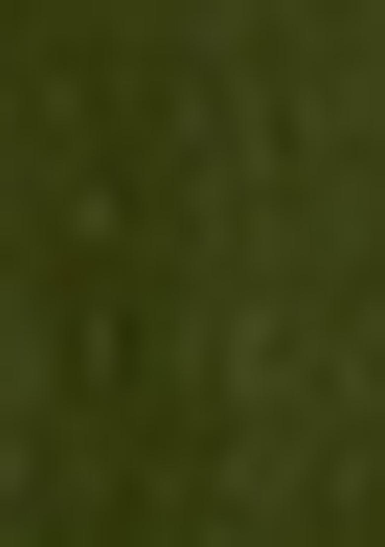 Mehendi Green Embroidered Viscose Salwar Kameez With Dupatta