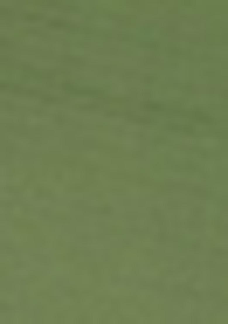 Pista Green Embroidered Silk Blend Salwar Kameez With Dupatta