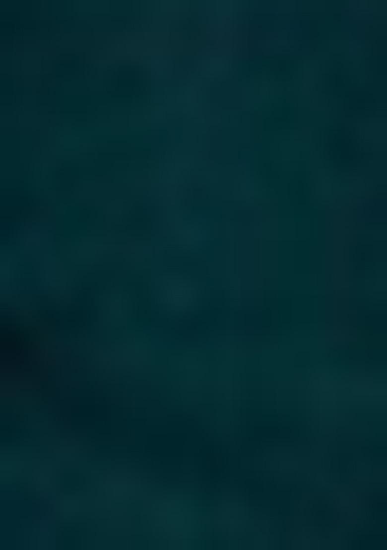 Green Embroidered Viscose Salwar Kameez With Dupatta