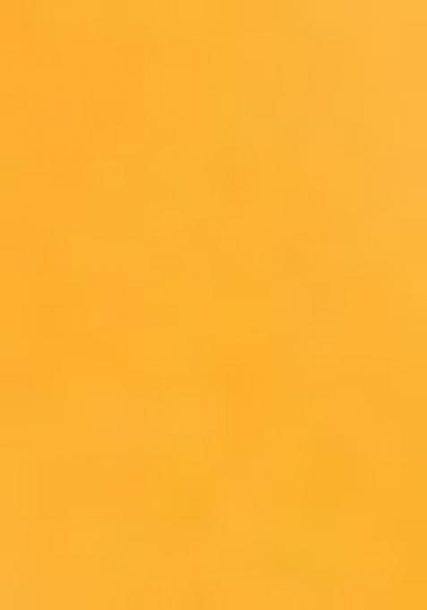 Yellow Printed Organza Silk Salwar Kameez With Dupatta