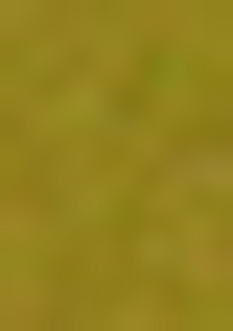 Mehendi Green Mirror Work Art Silk Salwar Kameez With Dupatta