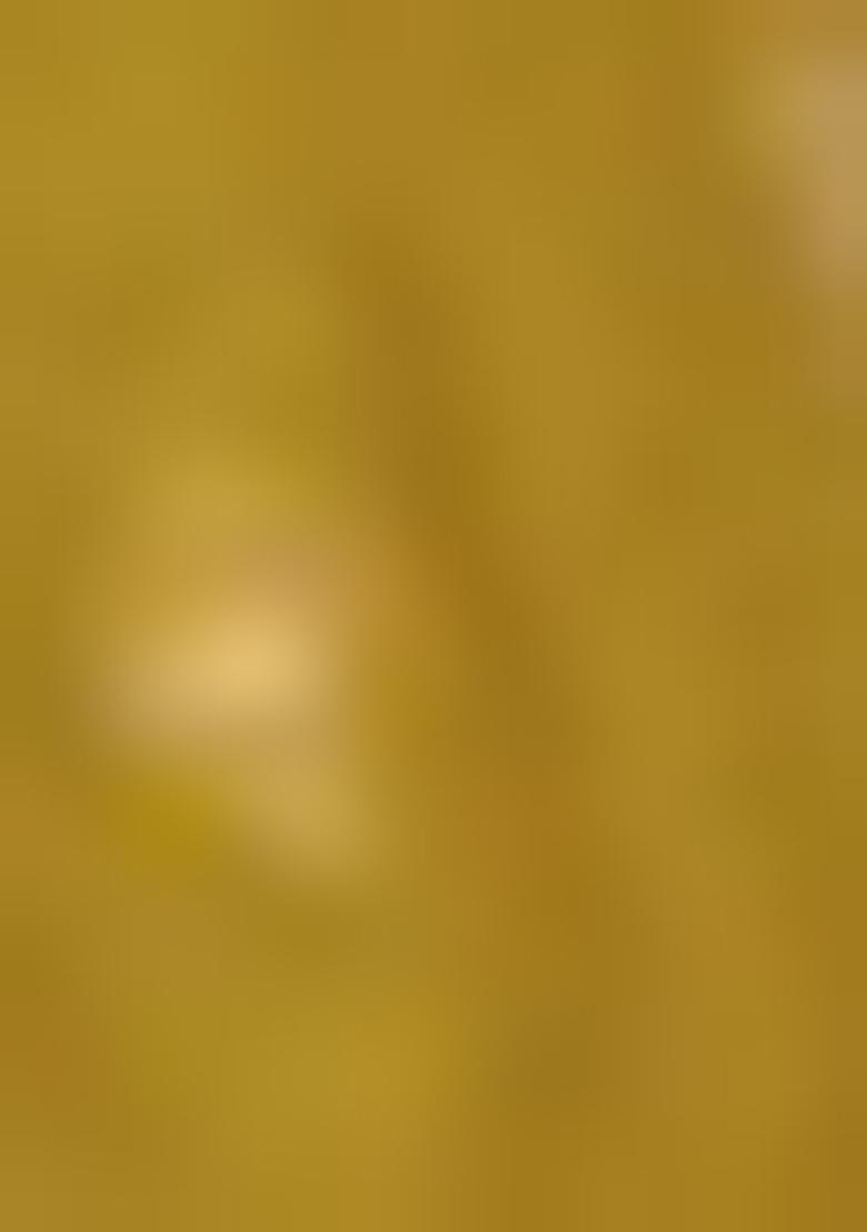 Yellow Embroidered Georgette Palazzo Set With Dupatta