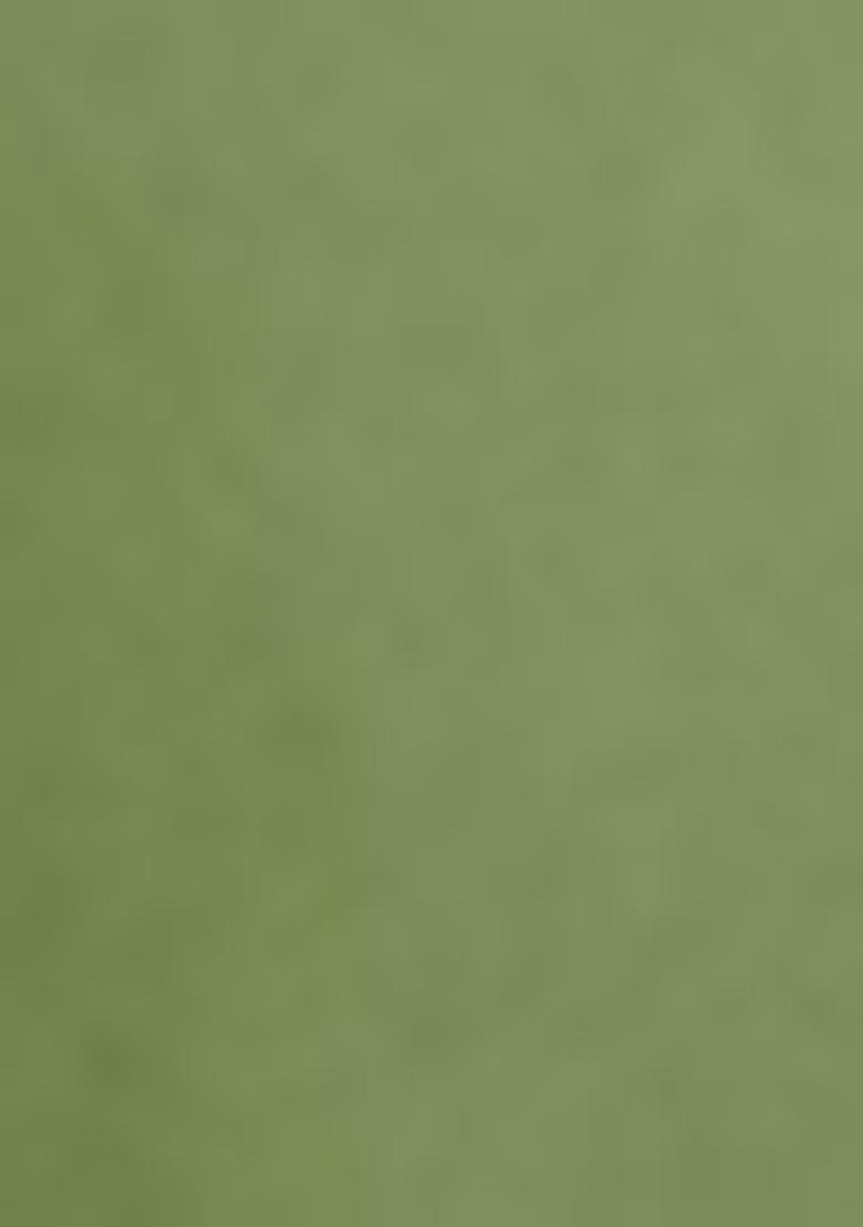 Off White Embroidered Georgette Palazzo Set With Dupatta