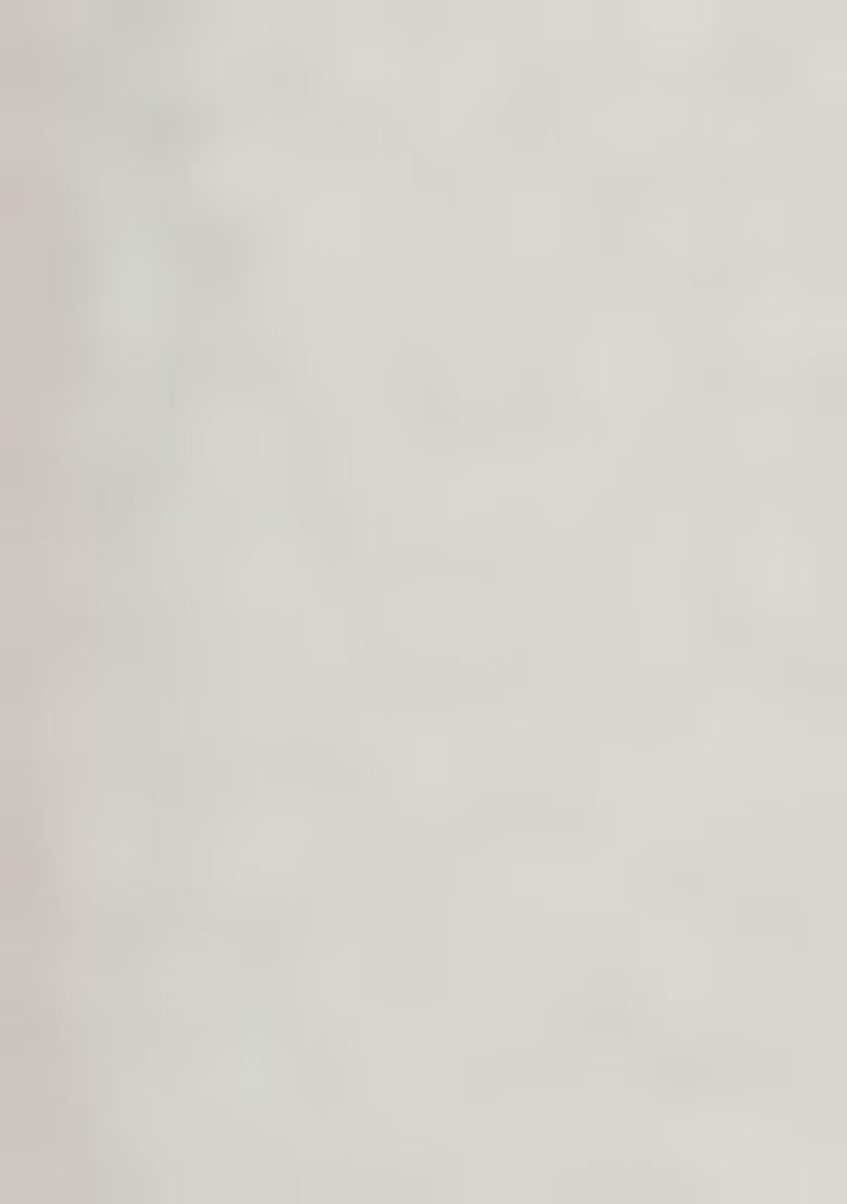 White Printed Chinon Salwar Kameez With Dupatta