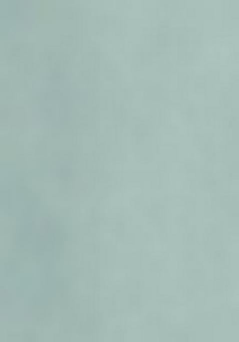 Sea Green Abstract Print Rayon Anarkali Set With Dupatta