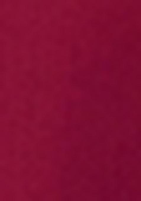 Maroon Resham Embroidery Rayon Salwar Kameez With Dupatta