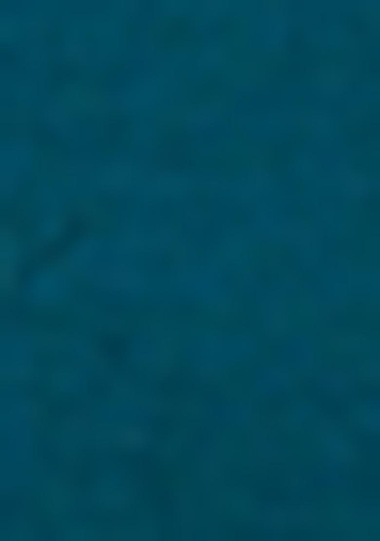 Teal Blue Resham Embroidery Viscose Salwar Kameez With Dupatta