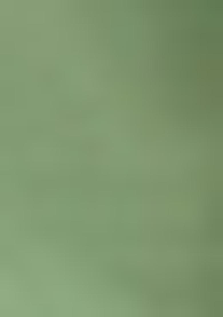 Pista Green Embroidered Pure Cotton Salwar Kameez With Dupatta