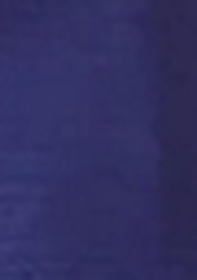 Royal Blue Embroidered Silk Blend Salwar Kameez With Dupatta