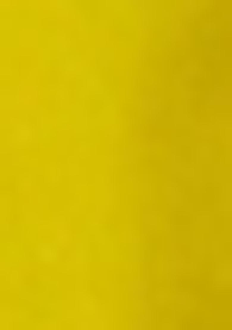 Lemon Yellow Embroidered Viscose Rayon Salwar Kameez With Dupatta