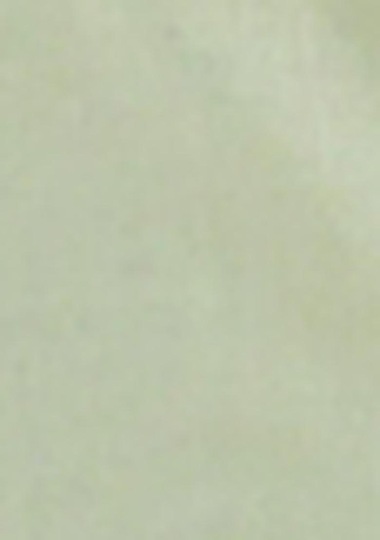 Pista Green Embroidered Viscose Rayon Salwar Kameez With Dupatta