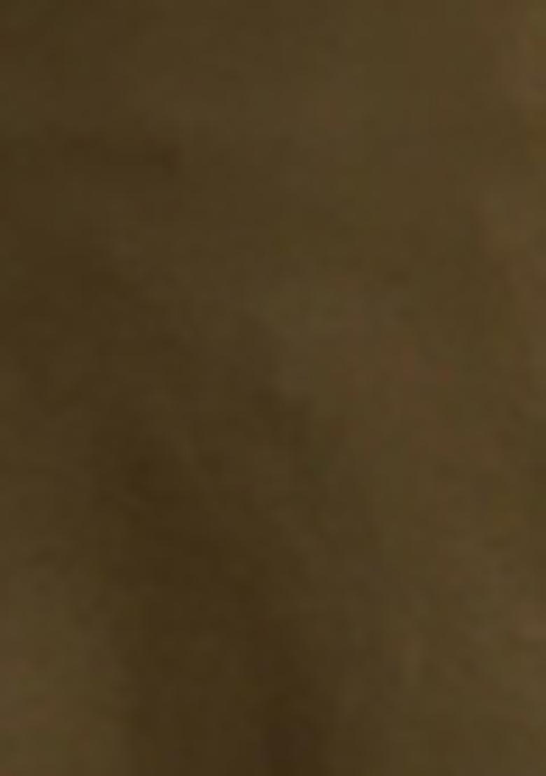 Mehendi Green Embroidered Viscose Rayon Salwar Kameez With Dupatta