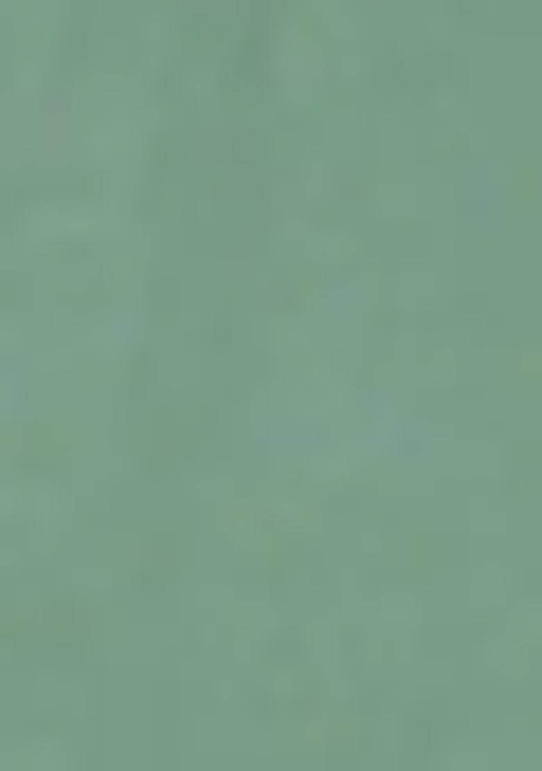 Pista Green Embroidered Chanderi Salwar Kameez With Dupatta