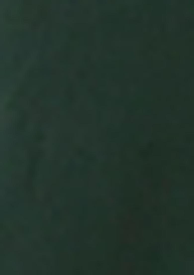 Green Embroidered Chanderi Salwar Kameez With Dupatta