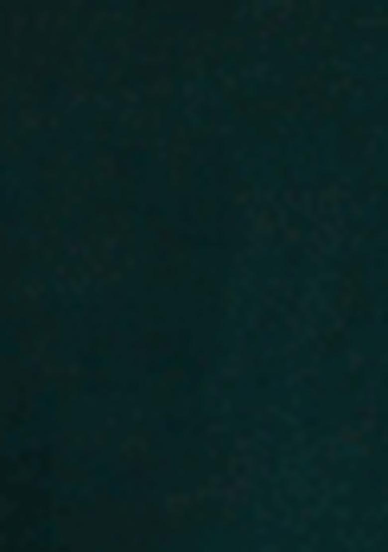 Green Embroidered Pure Cotton Salwar Kameez With Dupatta