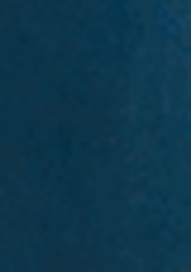 Blue Embroidered Viscose Rayon Salwar Kameez With Dupatta