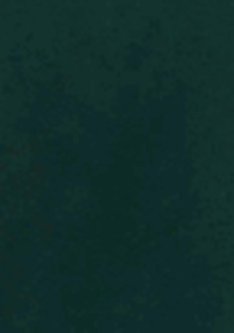 Green Embroidered Viscose Rayon Salwar Kameez With Dupatta