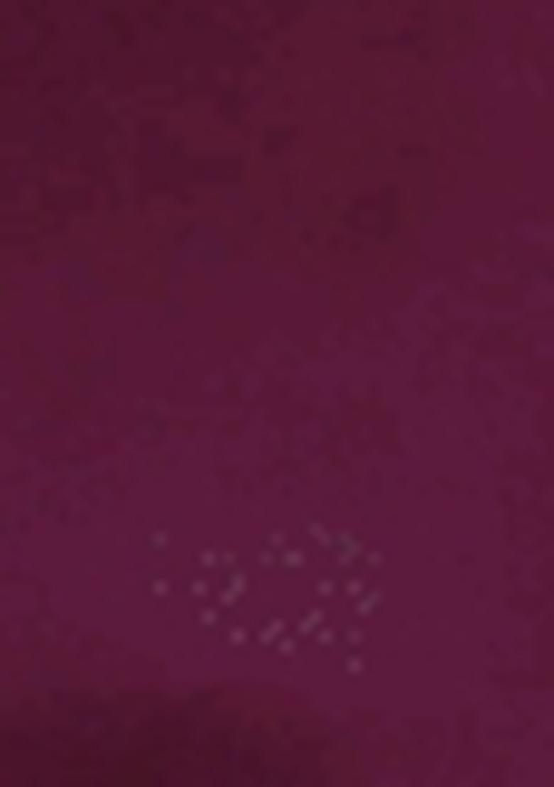 Purple Embroidered Viscose Rayon Salwar Kameez With Dupatta