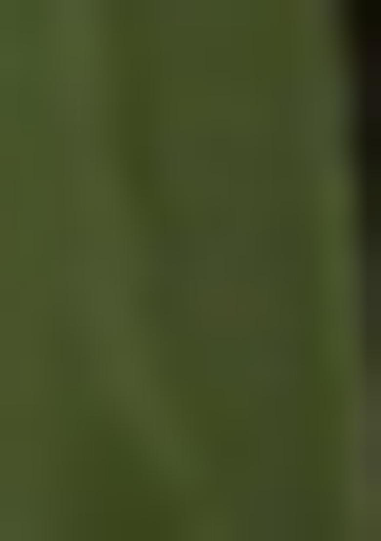 Green Embroidered Silk Blend Salwar Kameez With Dupatta