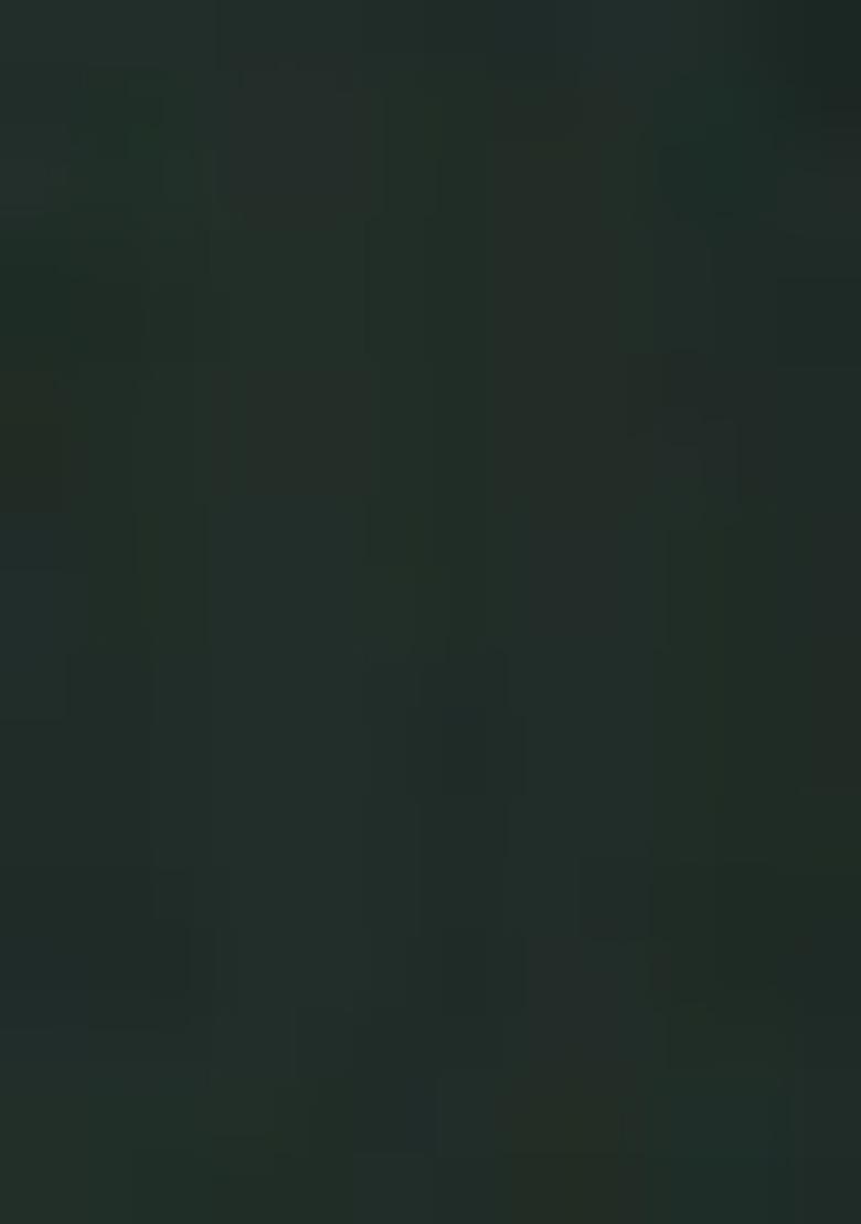 Green Embroidered Chanderi Salwar Kameez With Dupatta