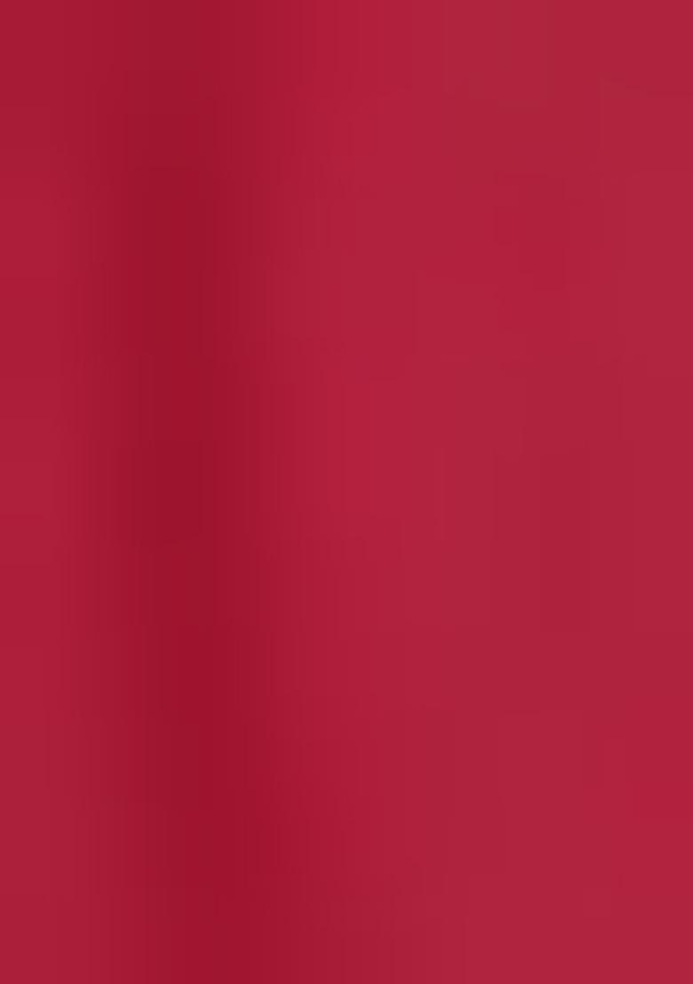 Red Embroidered Silk Blend Salwar Kameez With Dupatta