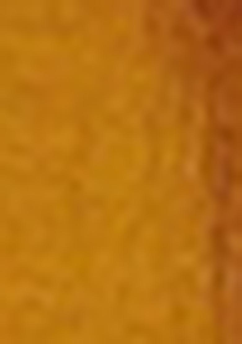 Mustard Yellow Embroidered Silk Blend Salwar Kameez With Dupatta