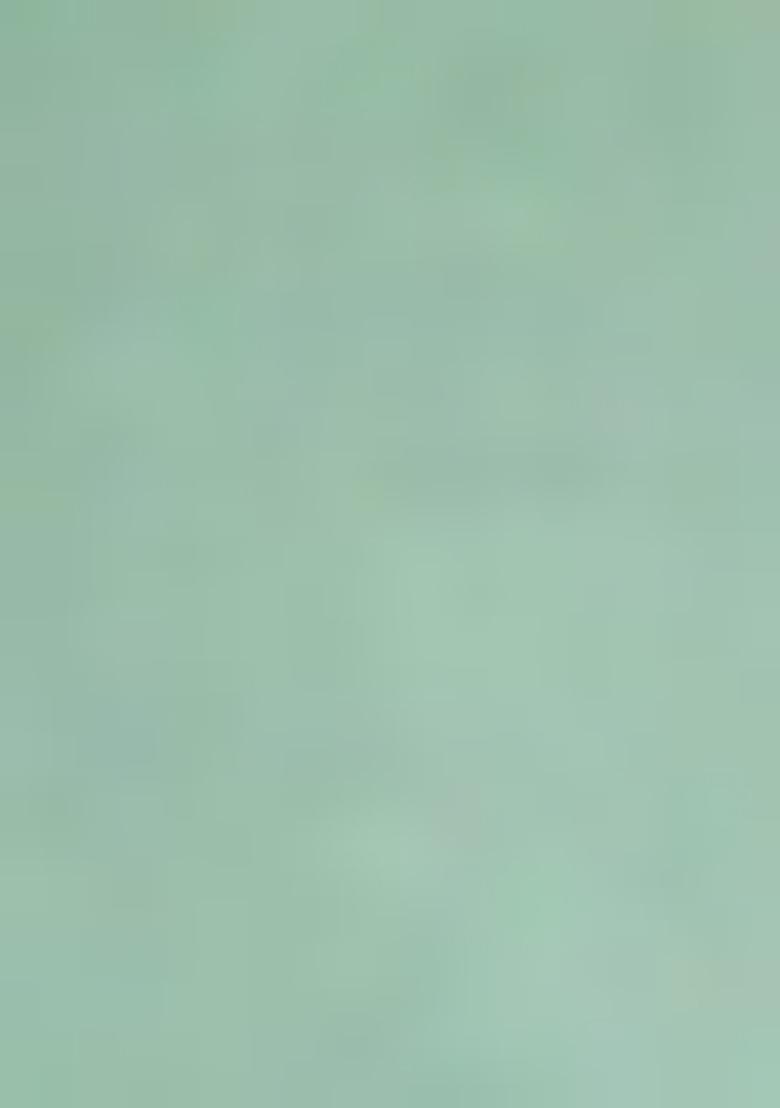 Pista Green Embroidered Silk Blend Salwar Kameez With Dupatta