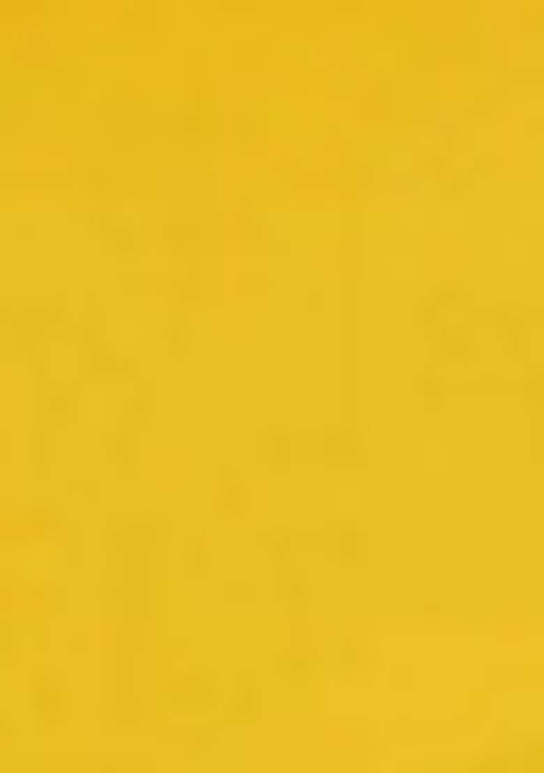 Yellow Embroidered Viscose Straight Kurta Set - Indya