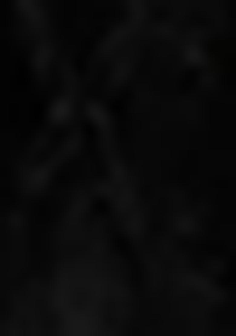 Black Embroidered Organza Salwar Kameez With Dupatta