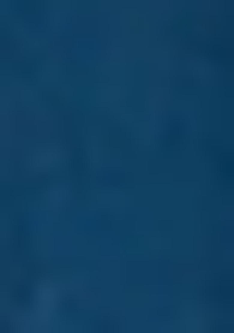 Blue Embroidered Organza Salwar Kameez With Dupatta