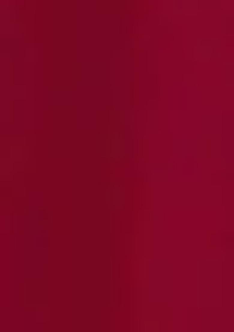 Red Embroidered Organza Salwar Kameez With Dupatta