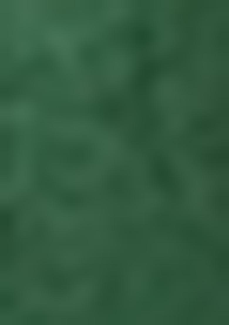 Green Embroidered Organza Salwar Kameez With Dupatta