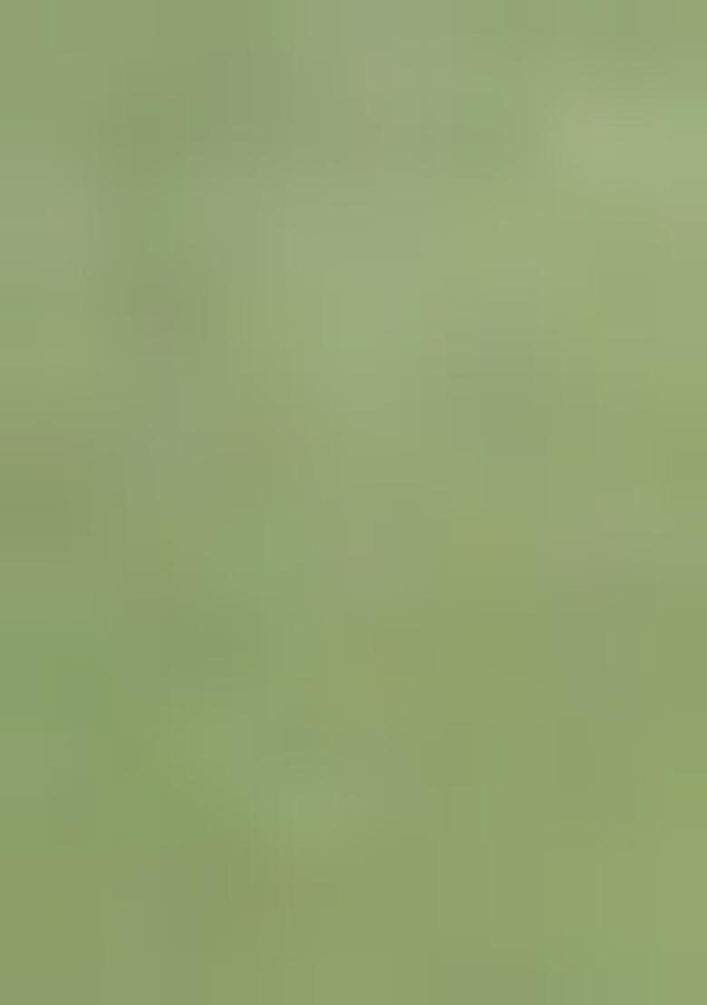 Pista Green Embroidered Chanderi Salwar Kameez With Dupatta