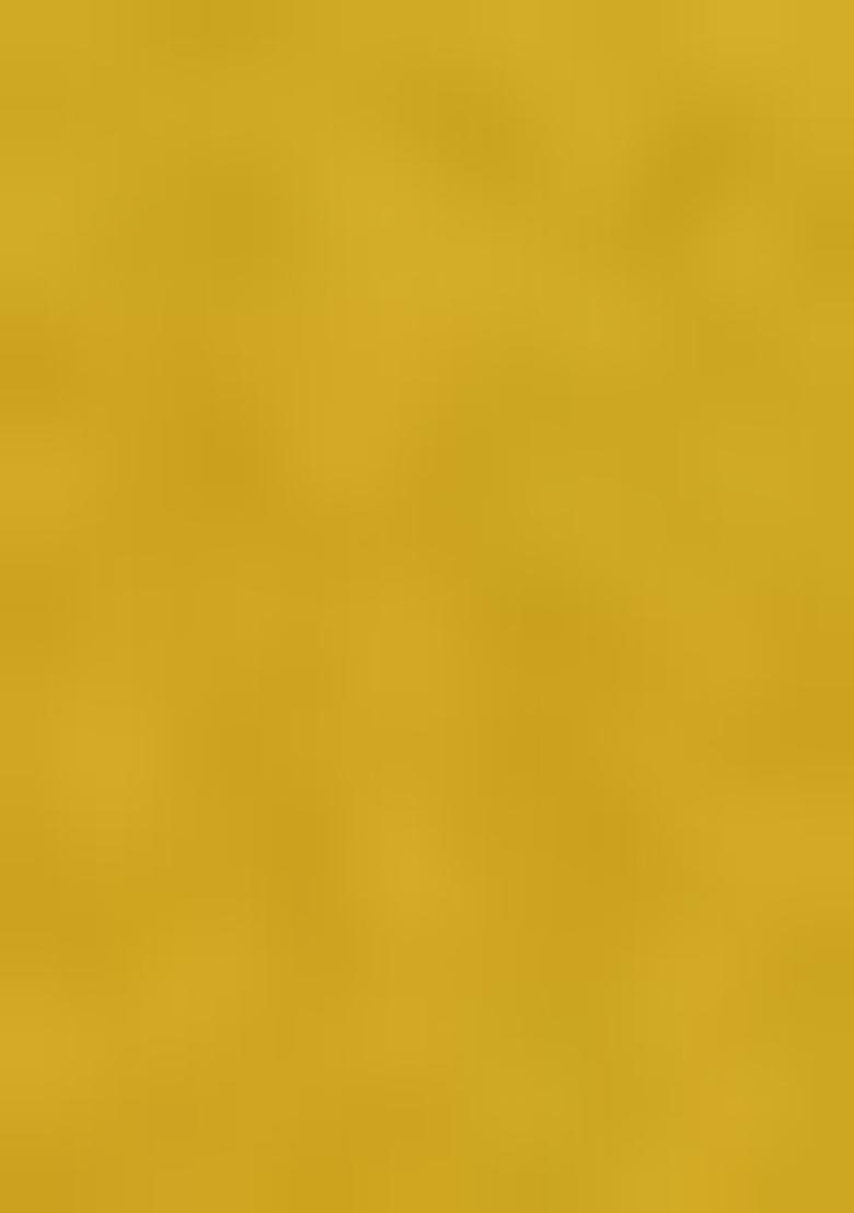 Yellow Printed Viscose Salwar Kameez With Dupatta