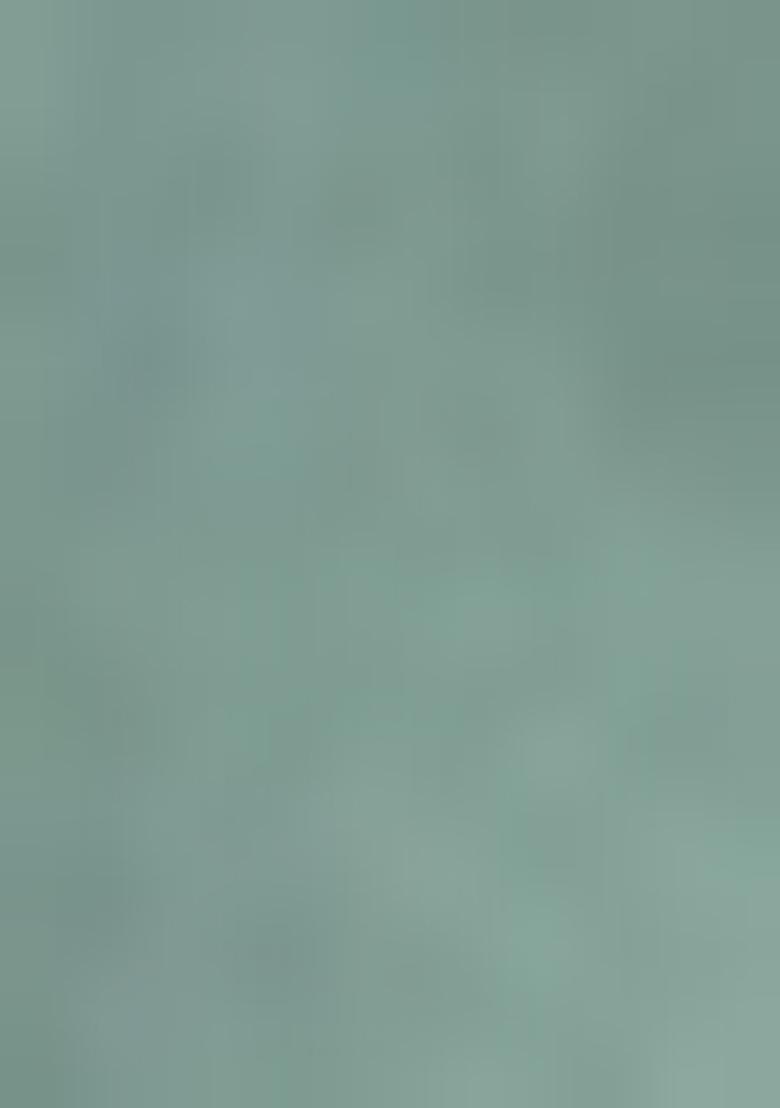 Sea Green Printed Viscose Salwar Kameez With Dupatta