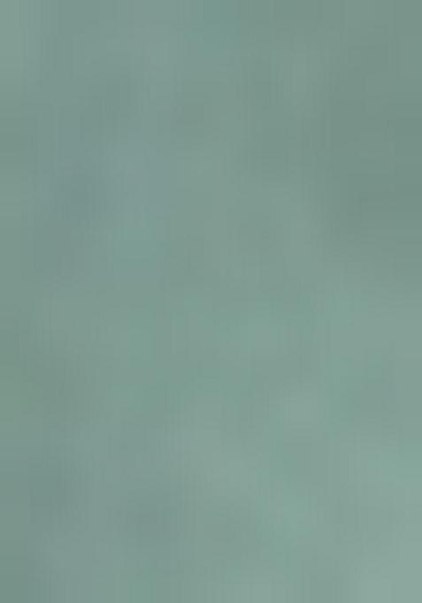 Sea Green Printed Viscose Salwar Kameez With Dupatta