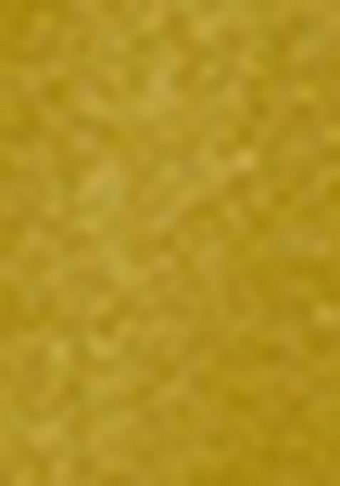 Mustard Yellow Printed Silk Blend Salwar Kameez With Dupatta