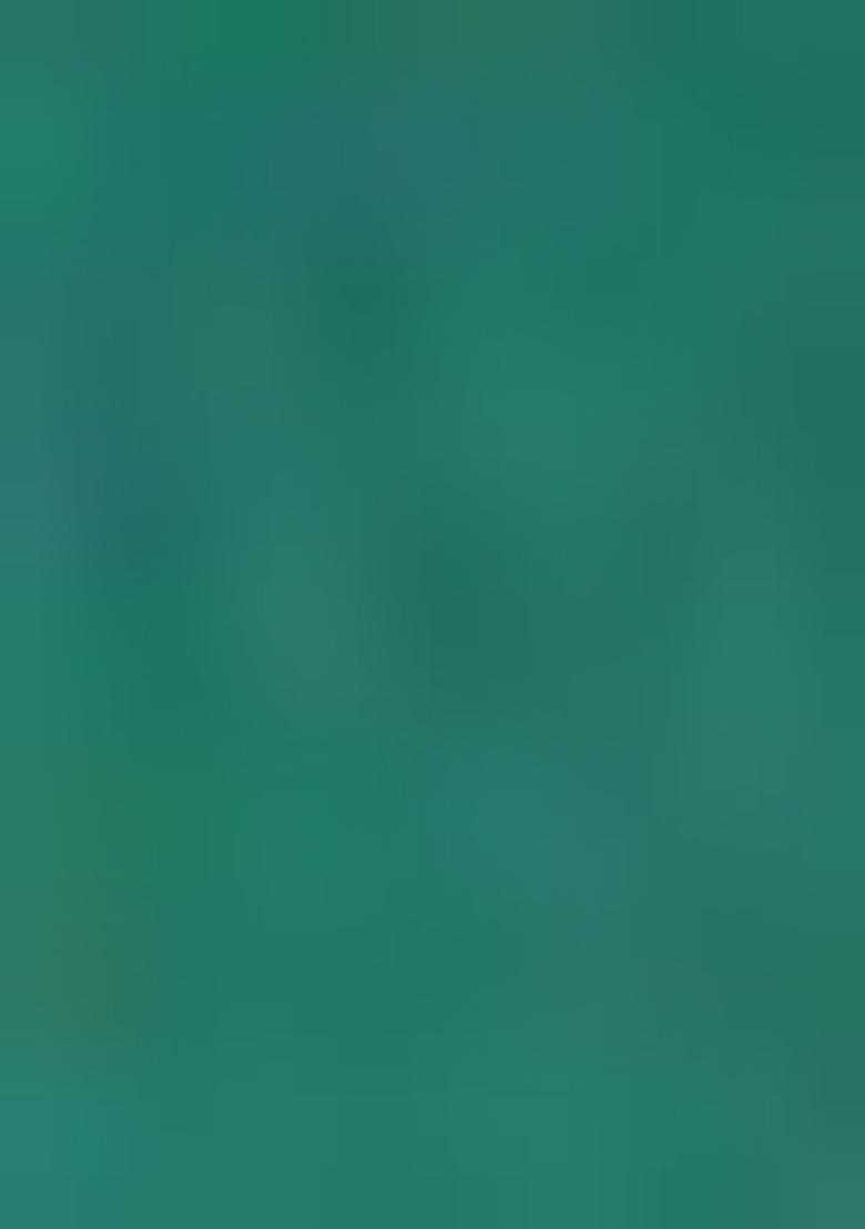 Green Printed Viscose Salwar Kameez