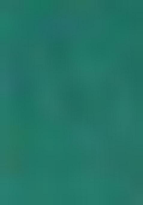 Green Printed Viscose Salwar Kameez