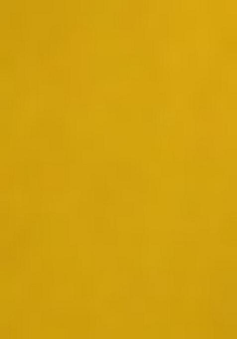 Yellow Embroidered Viscose Salwar Kameez With Dupatta