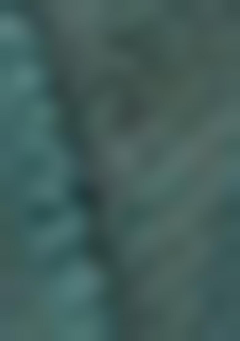 Sky Blue Embroidered Silk Blend Salwar Kameez With Dupatta