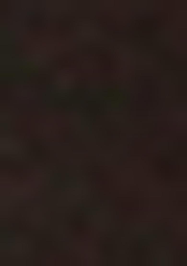 Black Embroidered Silk Blend Kurta