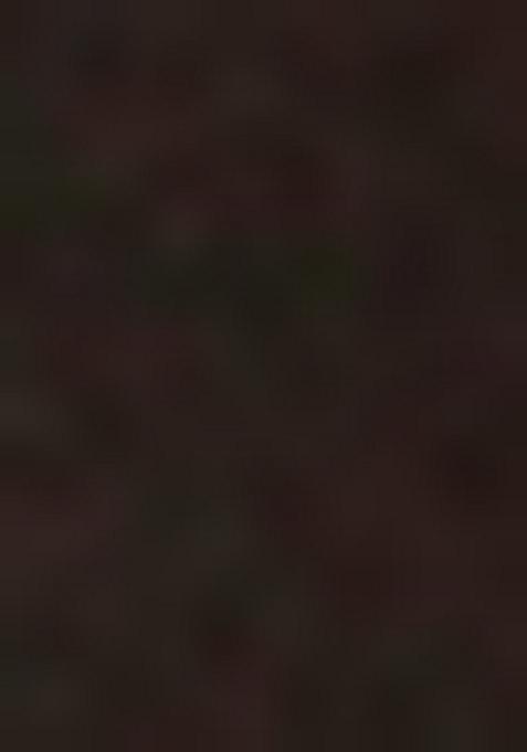 Black Embroidered Silk Blend Kurta