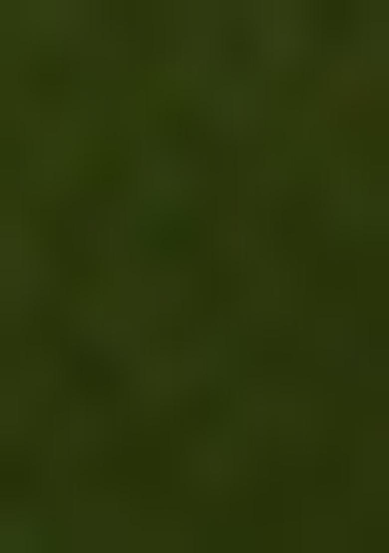 Mehendi Green Zari Work Silk Salwar Kameez With Dupatta