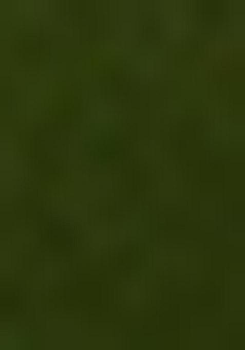 Mehendi Green Zari Work Silk Salwar Kameez With Dupatta